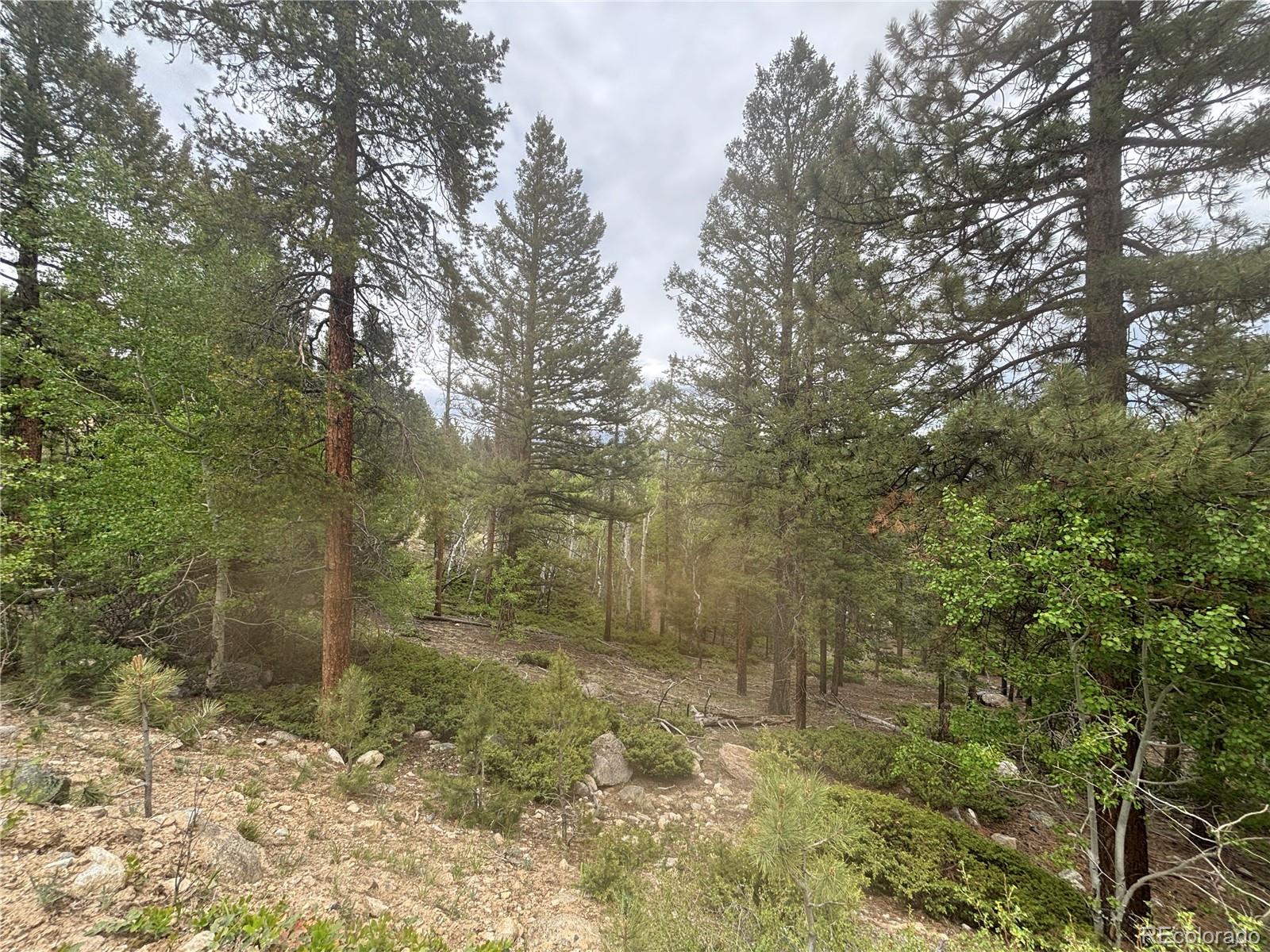 30304 Aspen Turn
