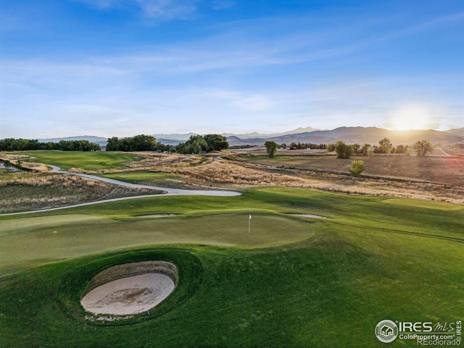 1467 Harebell Street