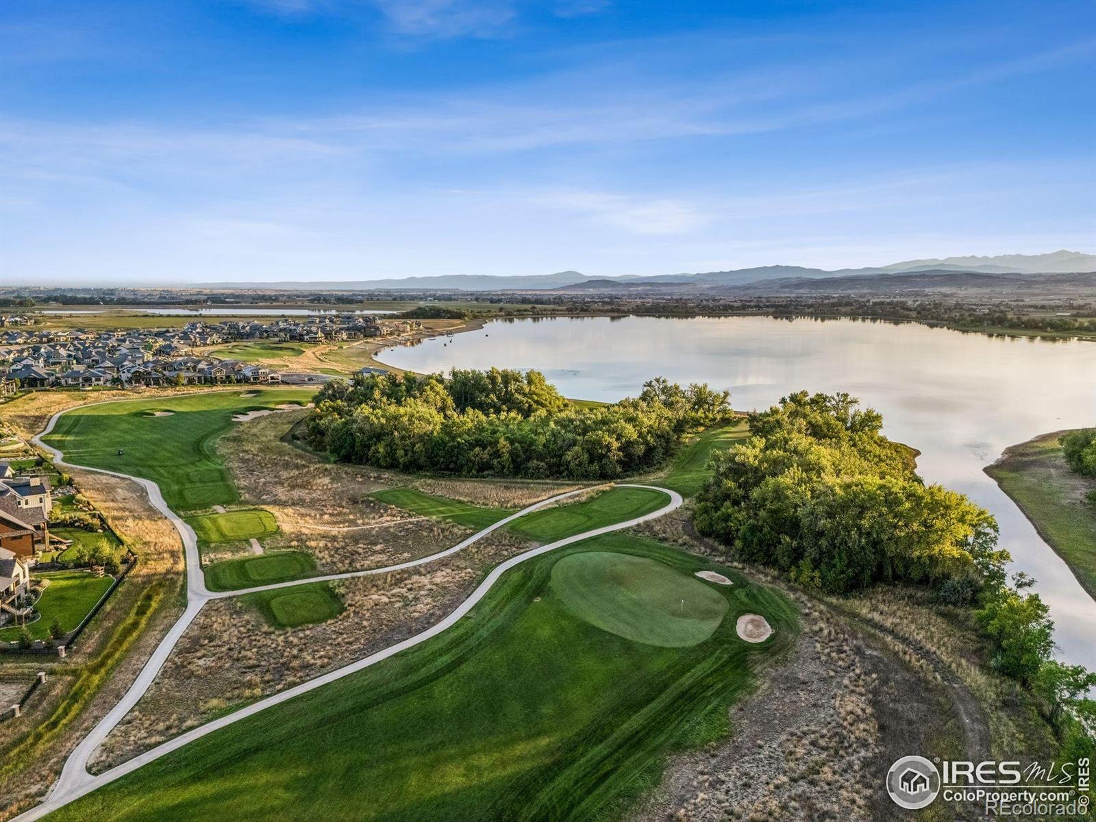 1467 Harebell Street