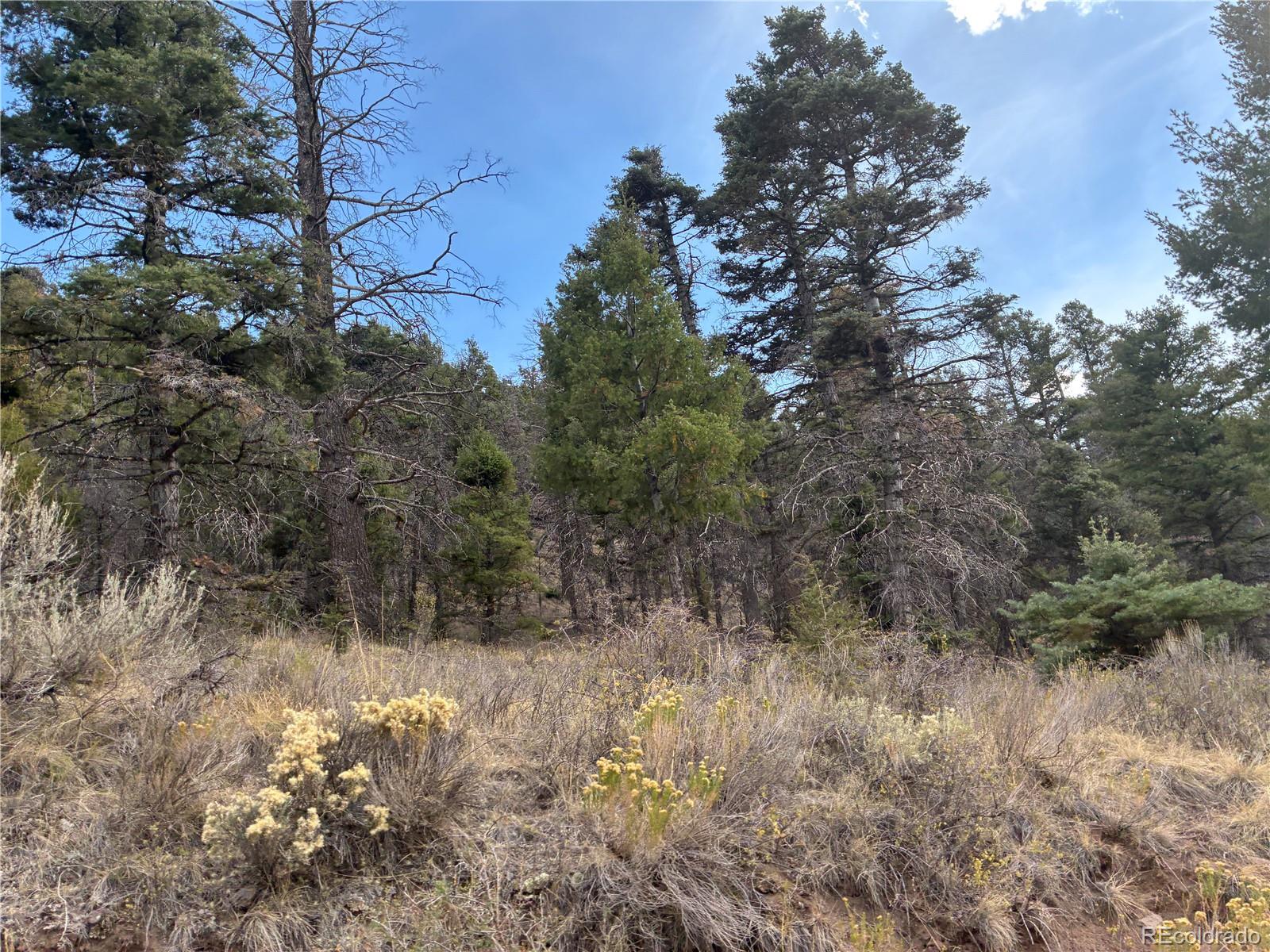 LOT 5504 Kriendler Road