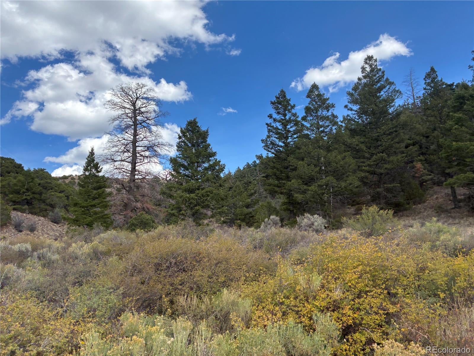 LOT 5504 Kriendler Road
