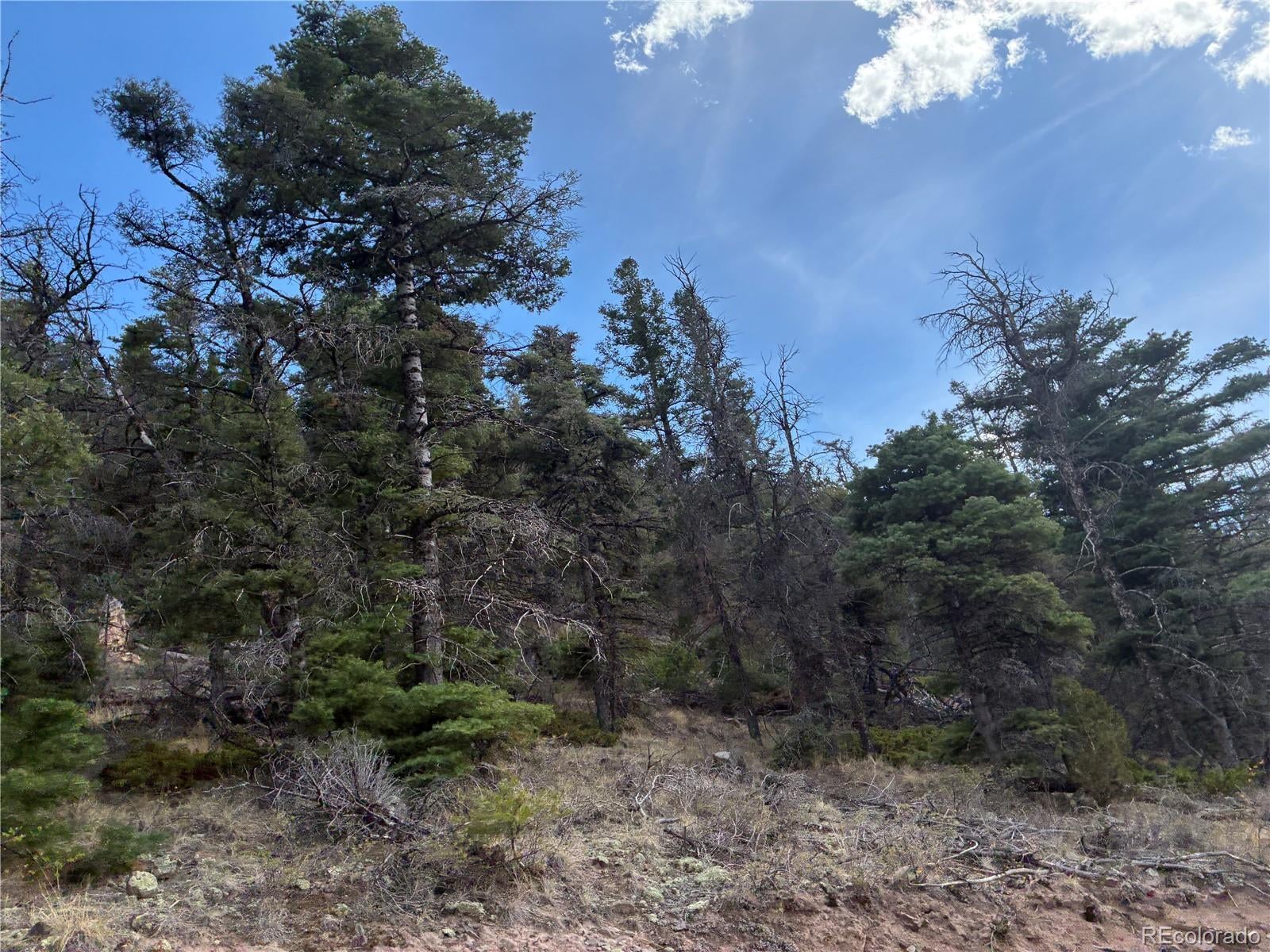 LOT 5504 Kriendler Road