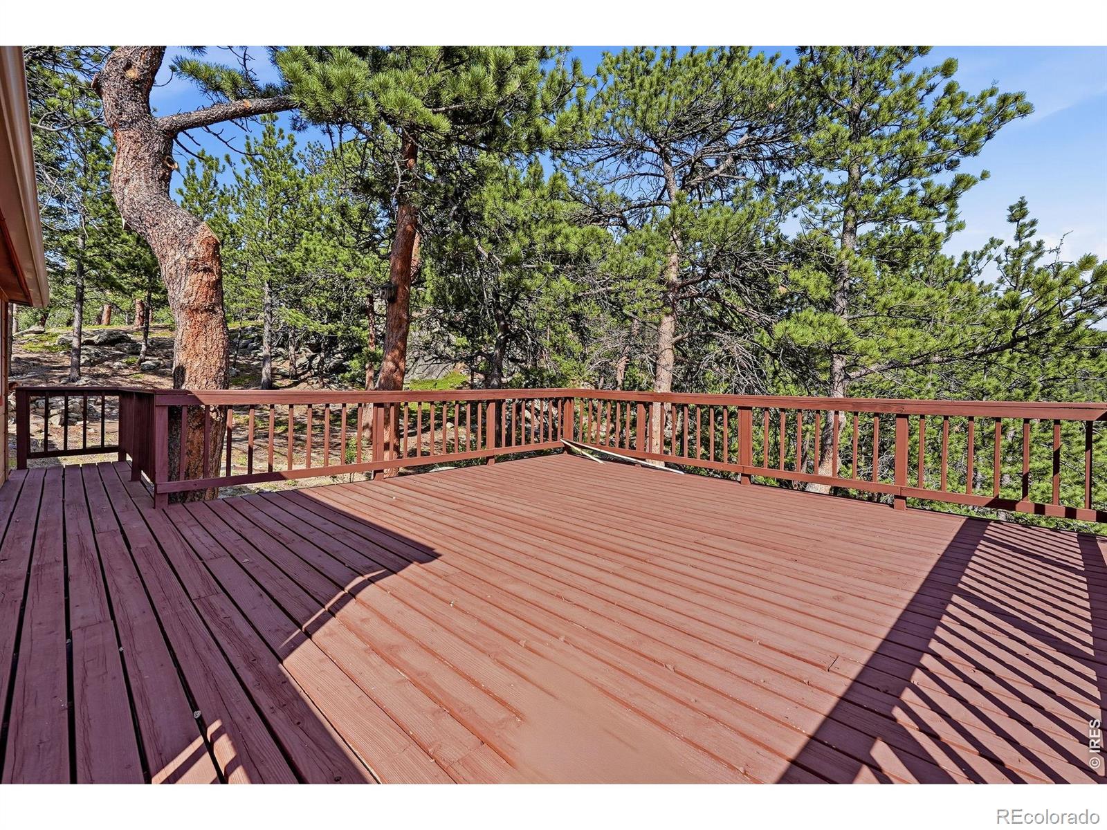 3497 Coal Creek Canyon Drive 65