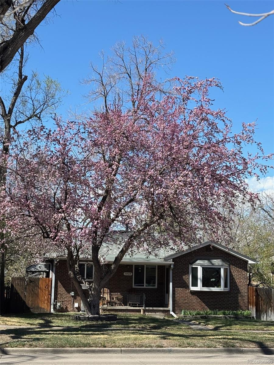 1439 S University Boulevard