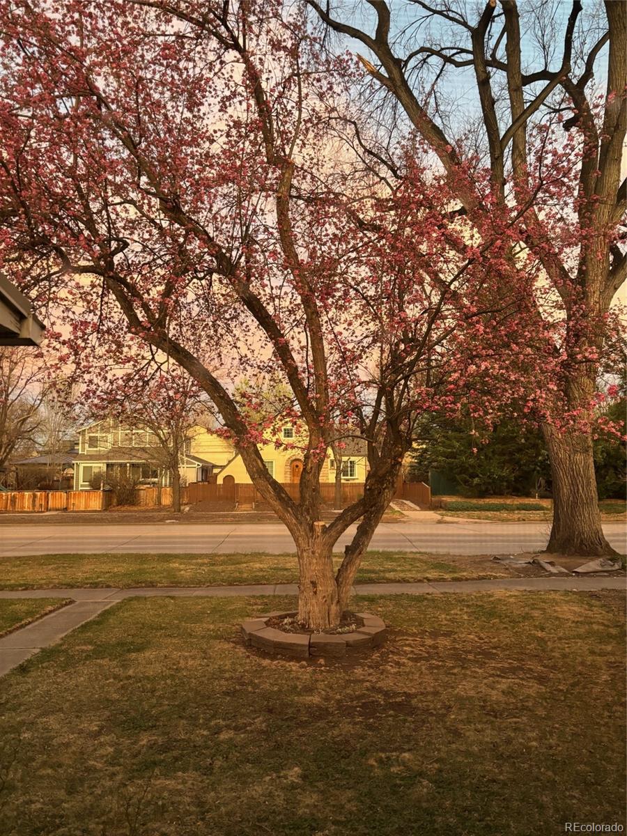 1439 S University Boulevard