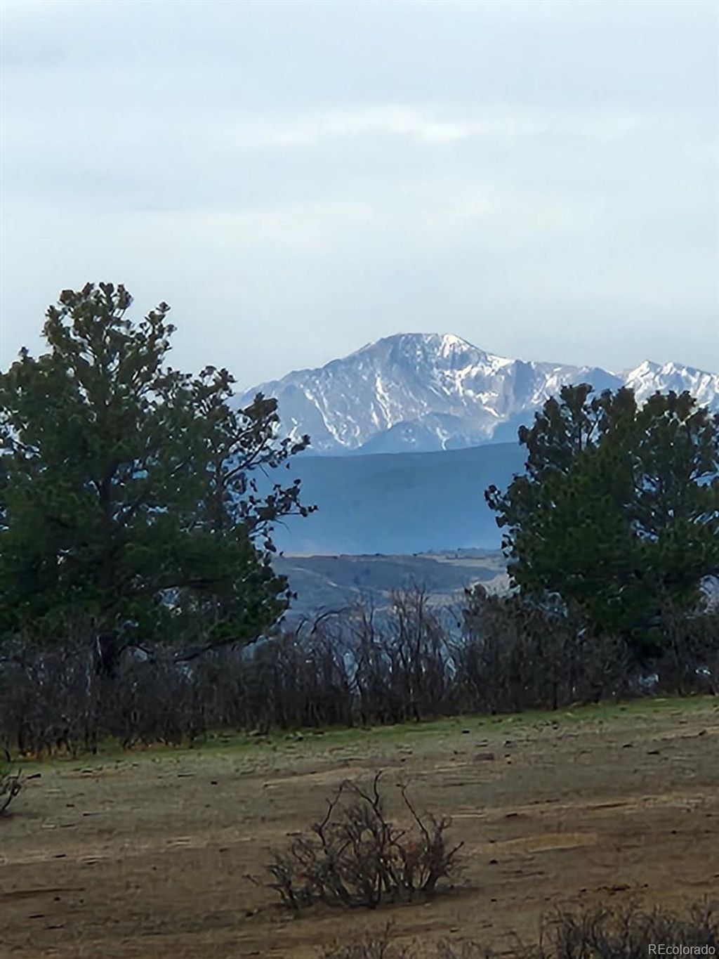 Photo of 164 Rockingham Circle, Castle Pines, CO 80108 (MLS # 9552553)