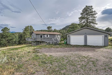 146 Conifer Drive Bailey CO 80421