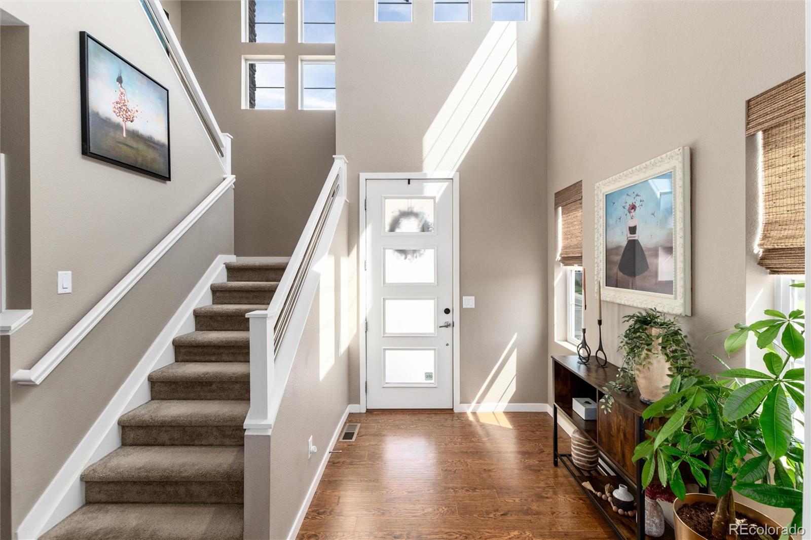 14110 Pastel Lane