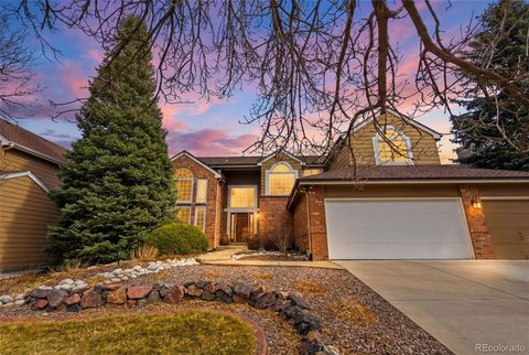 8966 Green Meadows Court Highlands Ranch CO 80126