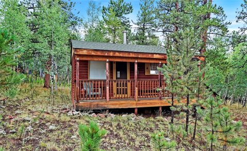 Photo of 109 Wolf Road, Bailey, CO 80421 (MLS # 3761277)