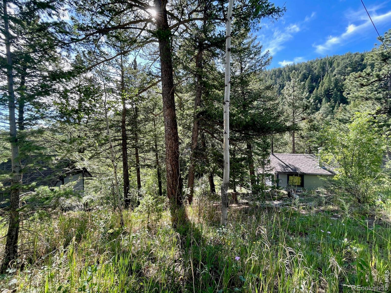 10763 Twin Spruce Road