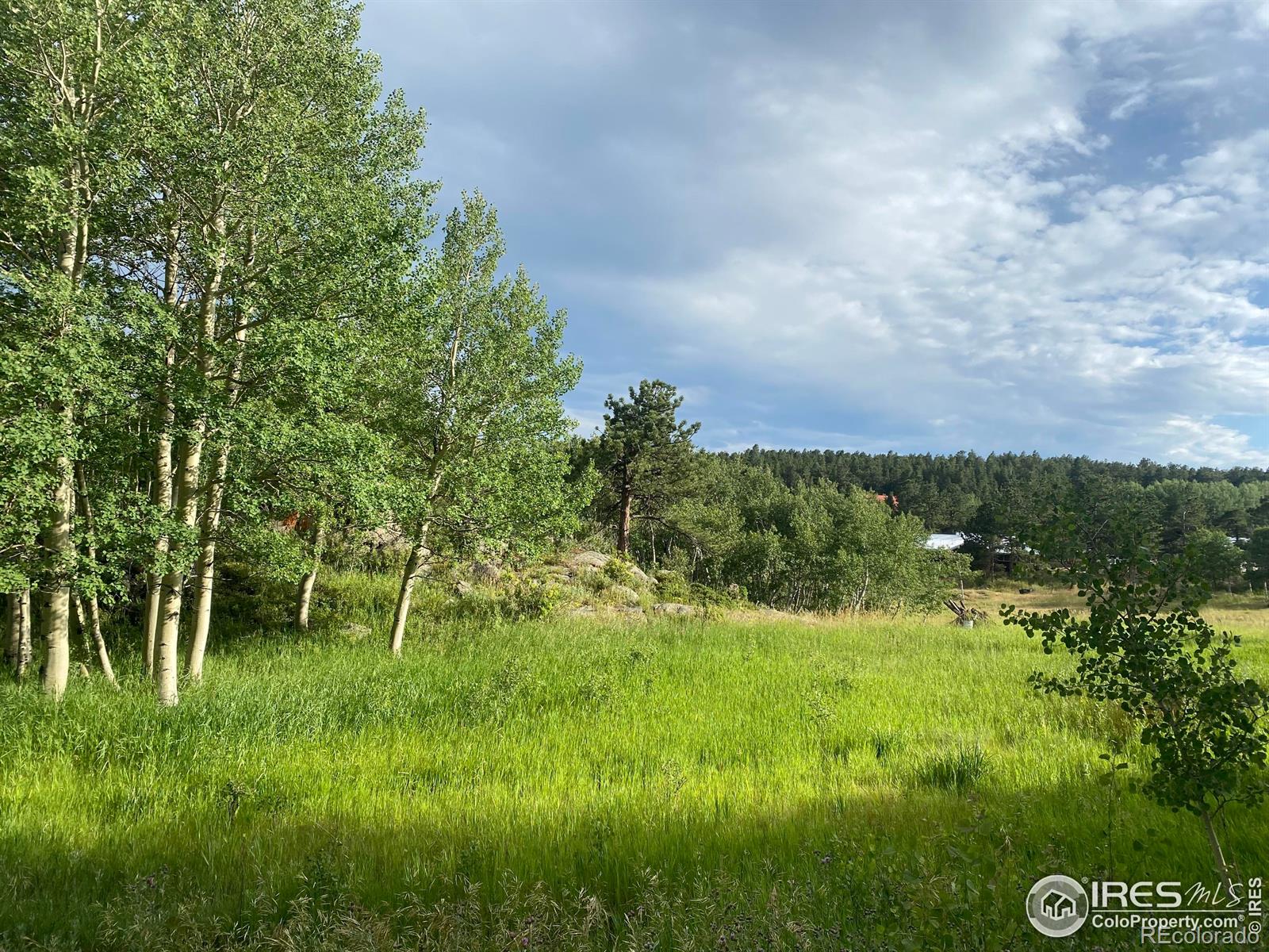 24 Hickok Trail