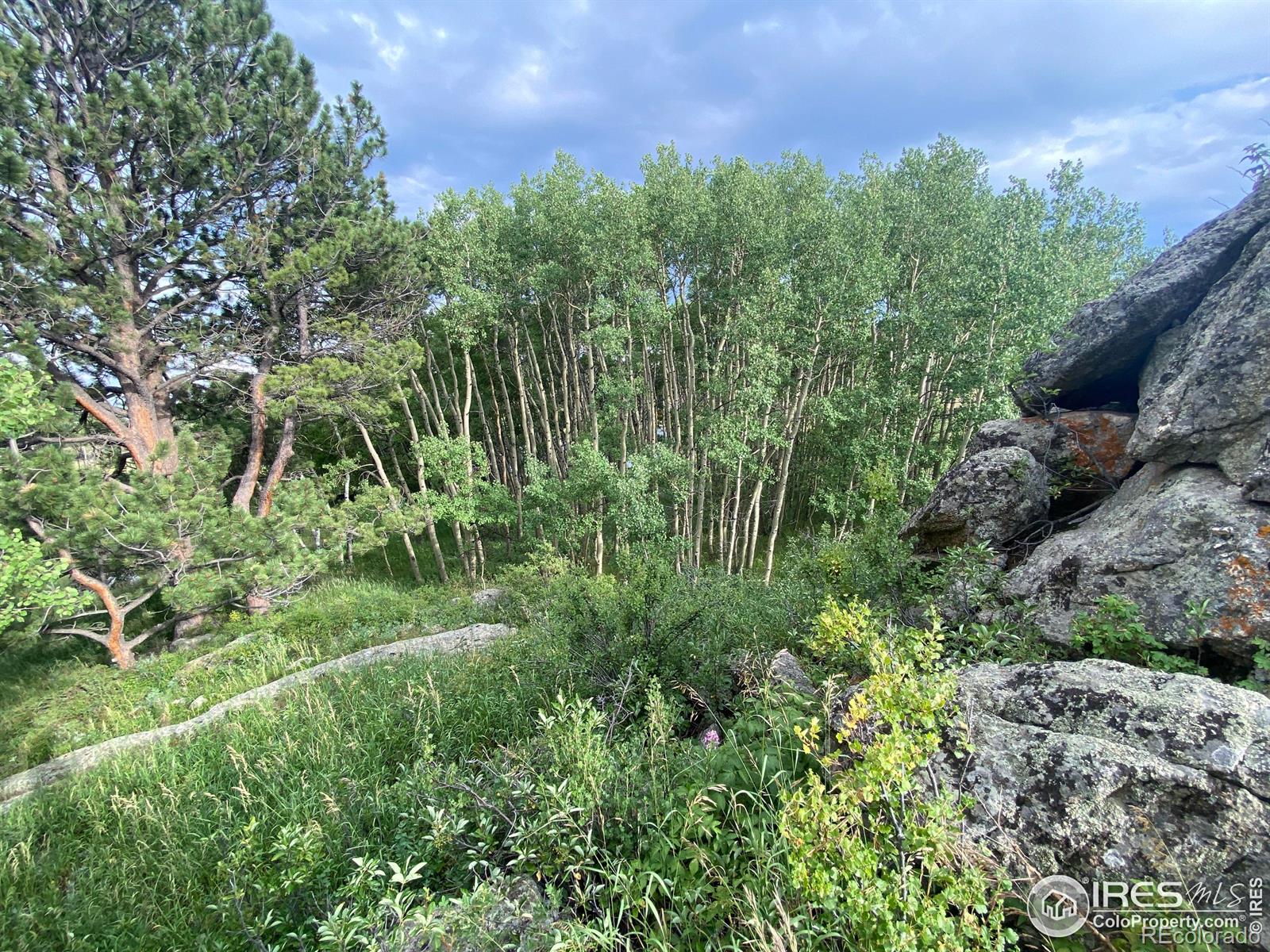 24 Hickok Trail