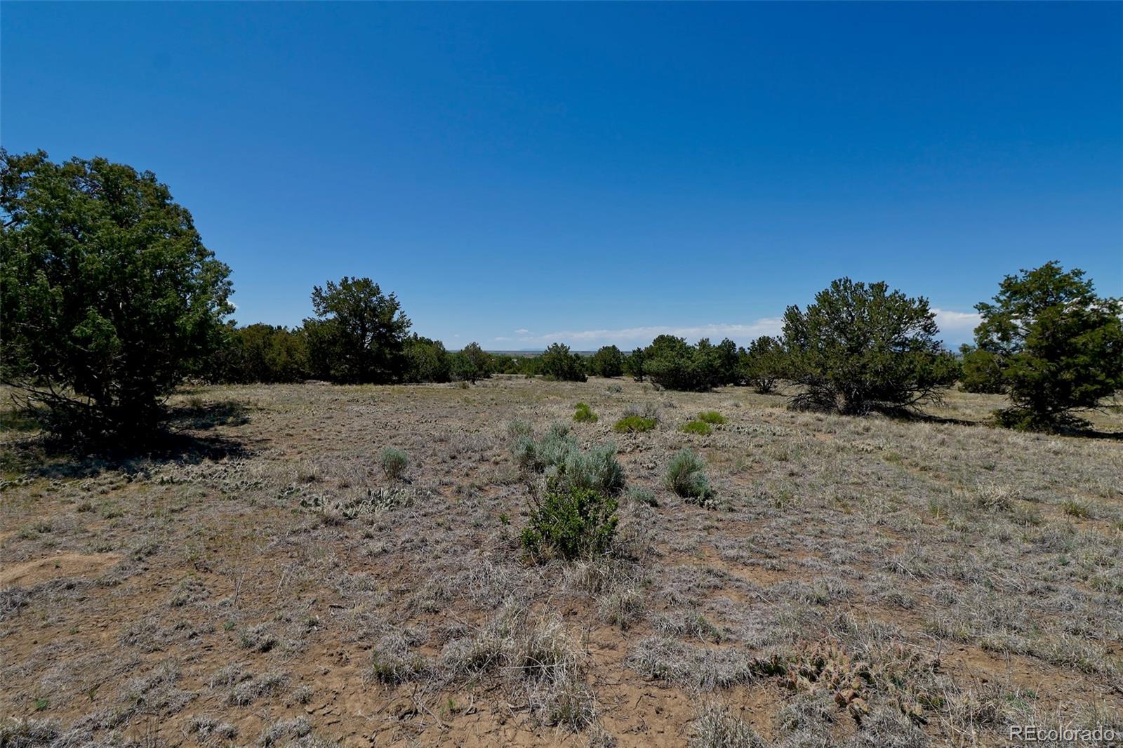 1563 Wagon Wheel Road
