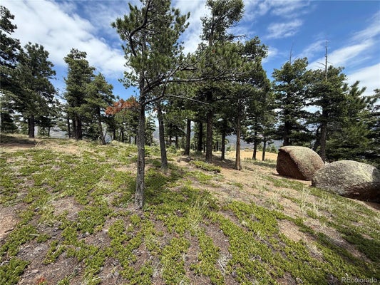 307 GRAND AVE, MANITOU SPRINGS, CO 80829 - Image 6b11f41b930fcbd06cebe0645c462d9a/2848609861