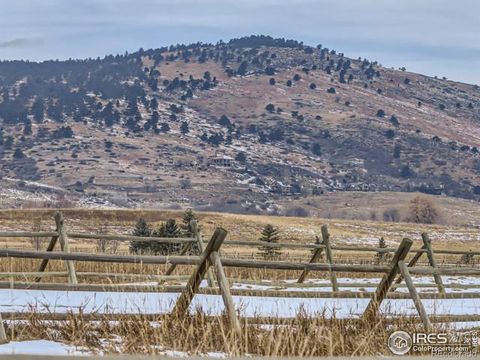  in Longmont CO 11510 Eagle Springs Trail 8.jpg