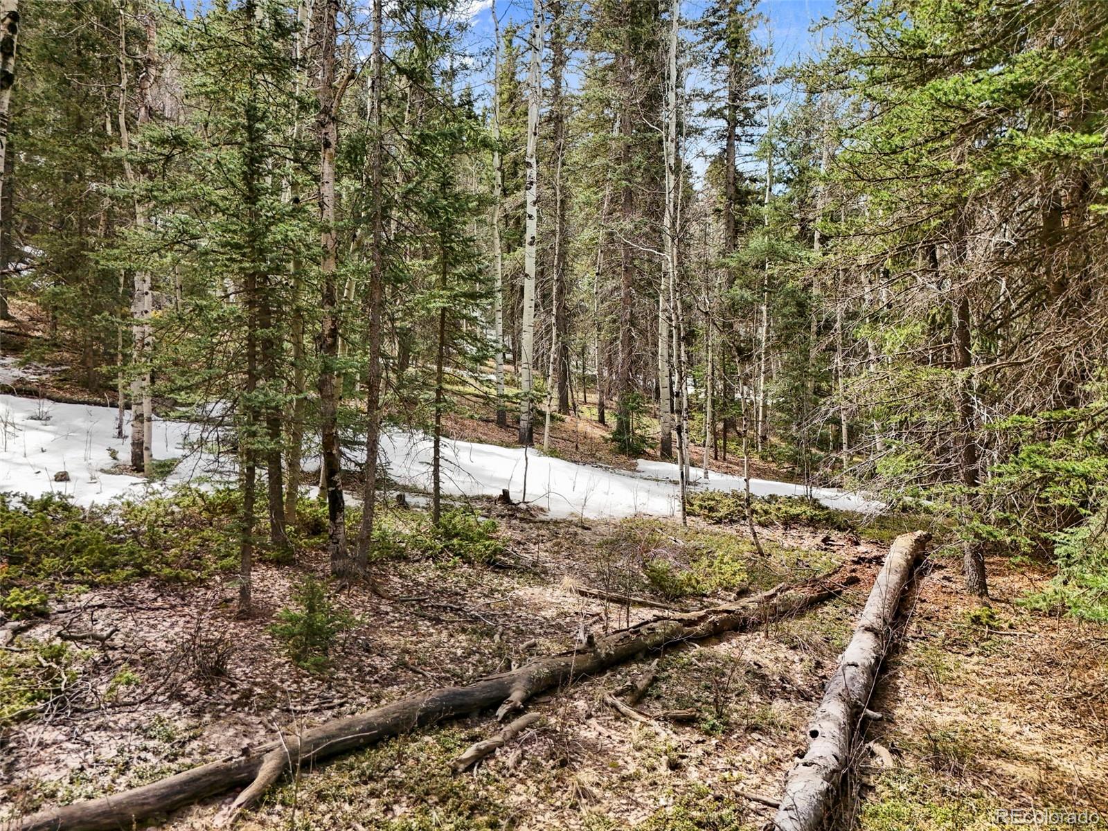 Photo 1 of 16 — 464 E Bison Creek Trail, Florissant, CO 80816