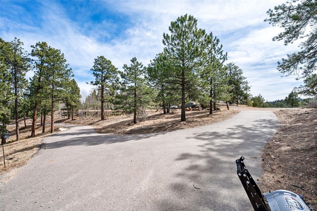 Photo of 21 Hummingbird Court, Bailey, CO 80421 (MLS # 2121725)