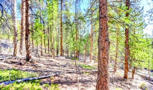 111 Swift Claim Road