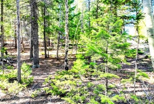 111 Swift Claim Road