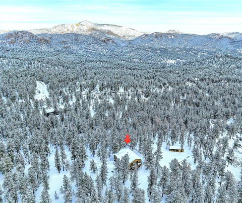 Photo of 270 Dawson Road, Pine, CO 80470 (MLS # 2632486)
