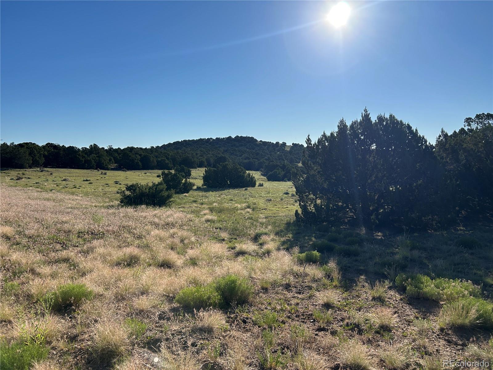 Tract B City Ranch Properties