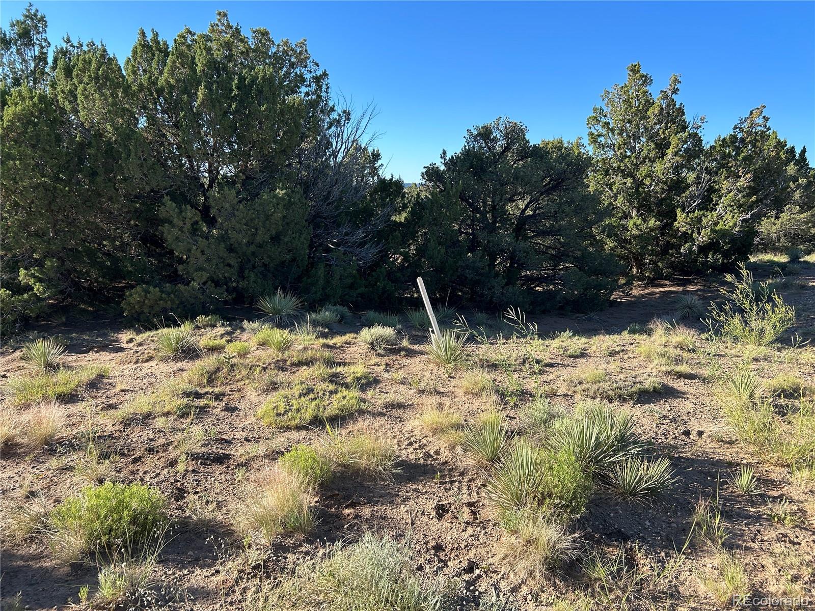 Tract B City Ranch Properties