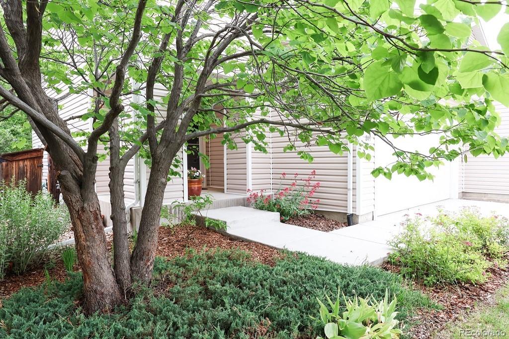 849 Canary Lane