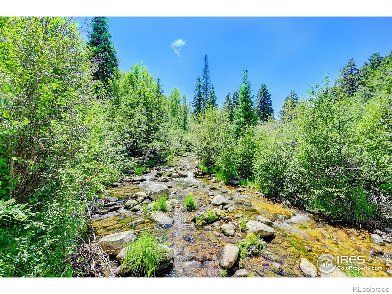 185 Vasquez Road D1