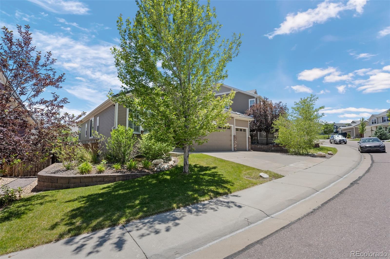3748 Starry Night Loop, Castle Rock, CO, 80109 2 3748 Starry Night Loop
