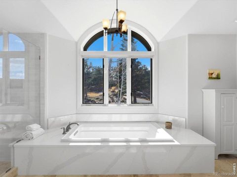 290 Skyhill Drive Evergreen CO 80439