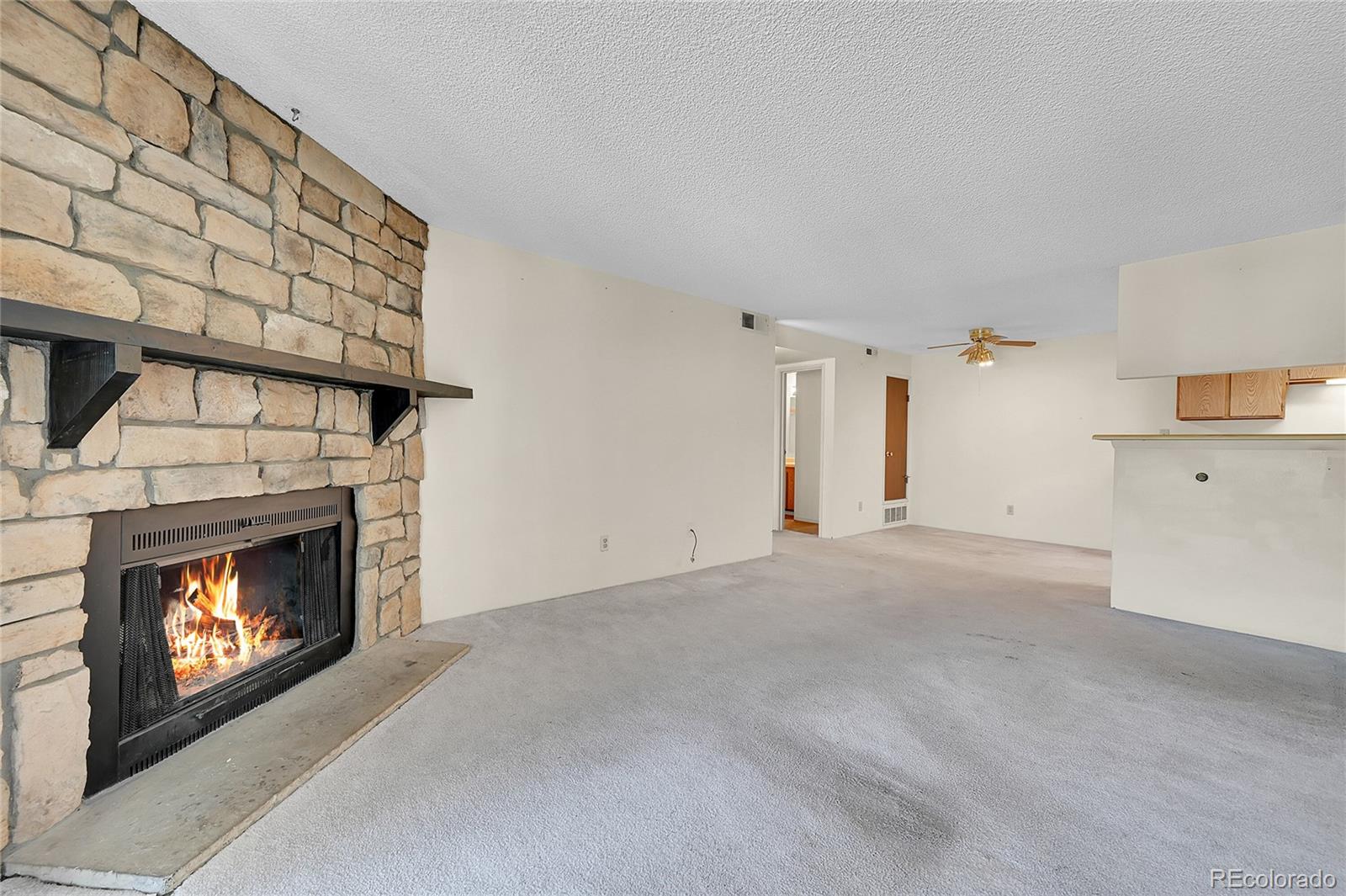 1830 S Pitkin Circle B