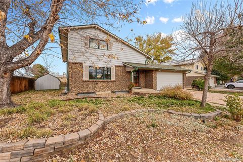 9127 W Radcliffe Drive Littleton CO 80123