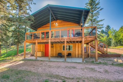 324 Pawutsy Road, Divide, CO 80814 - #: 3829483