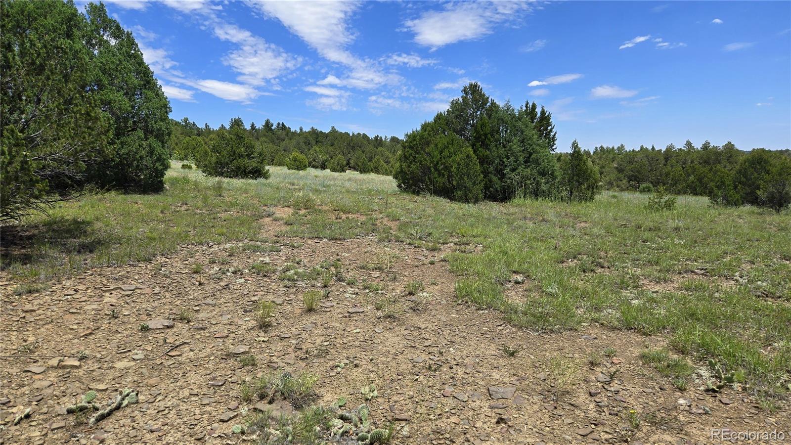 20 Colorado Mountain Lake Estates