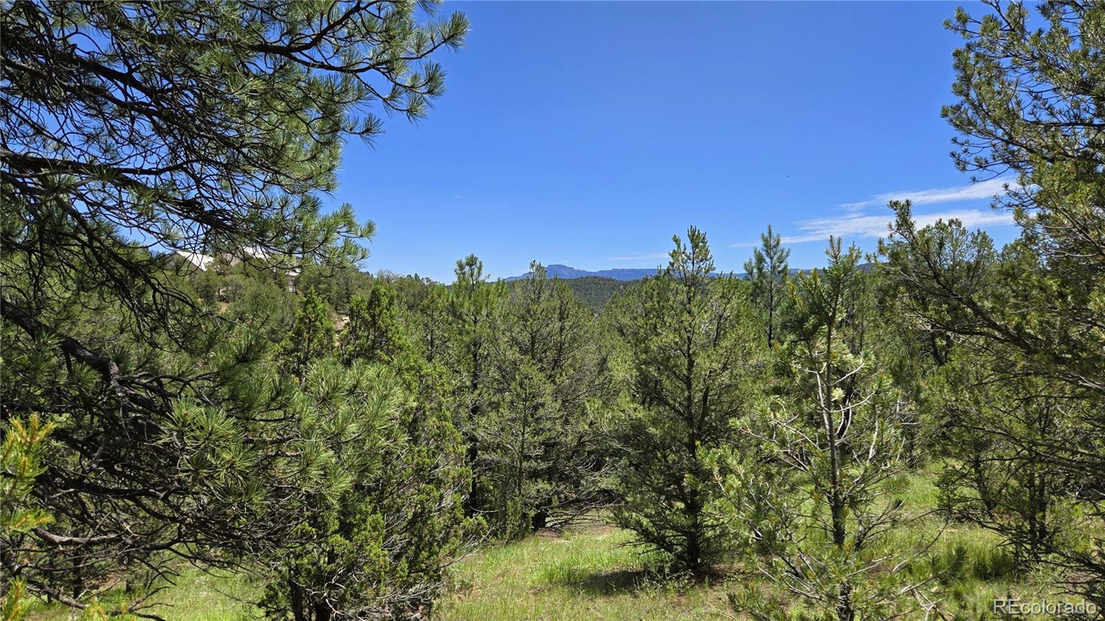 20 Colorado Mountain Lake Estates