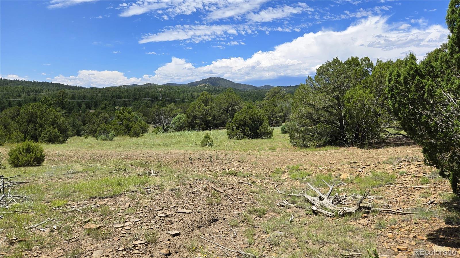 20 Colorado Mountain Lake Estates