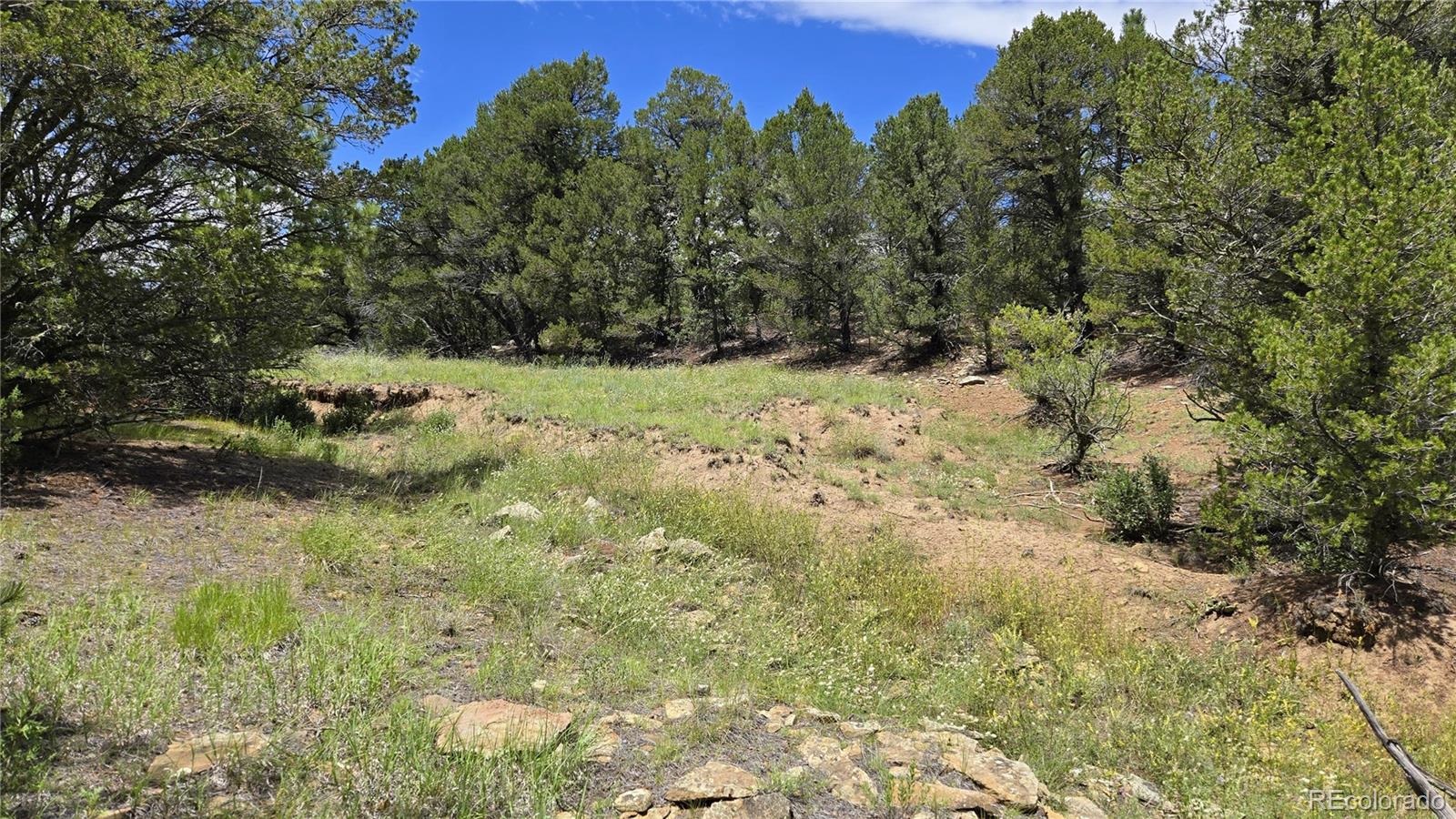 20 Colorado Mountain Lake Estates