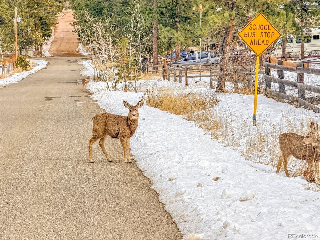 Photo of 99 Mohawk Trail, Pine, CO 80470 (MLS # 2993418)