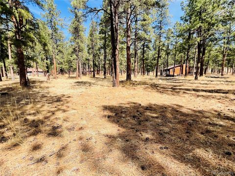 BLK 4 LOT 6 Weston CO 81091
