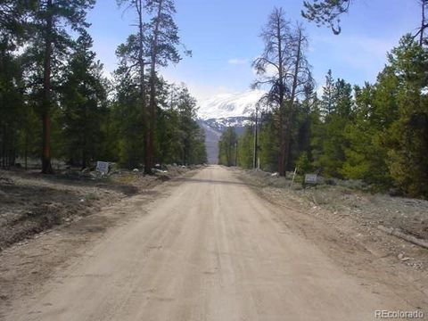 833 Peak View Drive Twin Lakes CO 81251