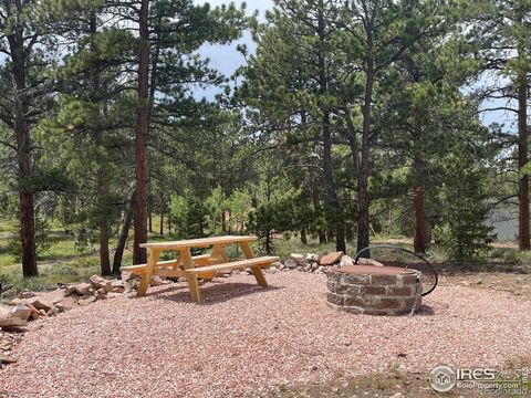 416 Comanche Circle Red Feather Lakes CO 80545
