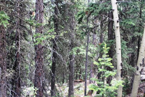 00 Hidden Wilderness Road Idaho Springs CO 80452