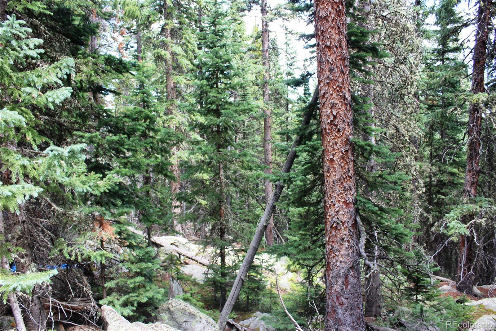 00 Hidden Wilderness Road