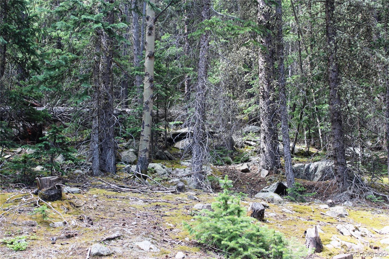 00 Hidden Wilderness Road