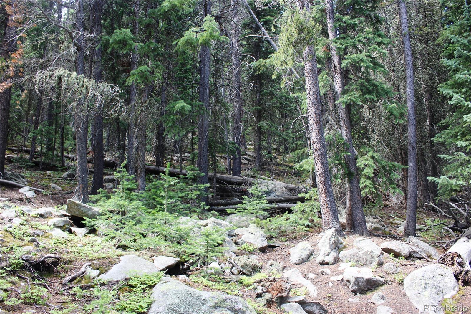 00 Hidden Wilderness Road