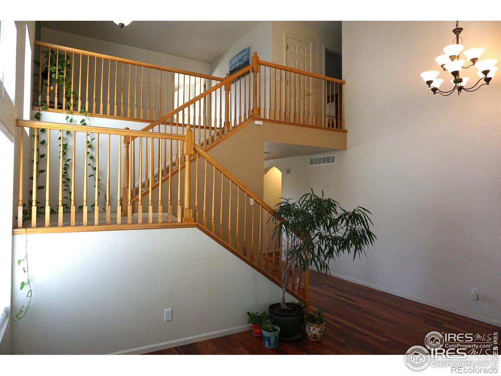 12609 Jersey Circle W