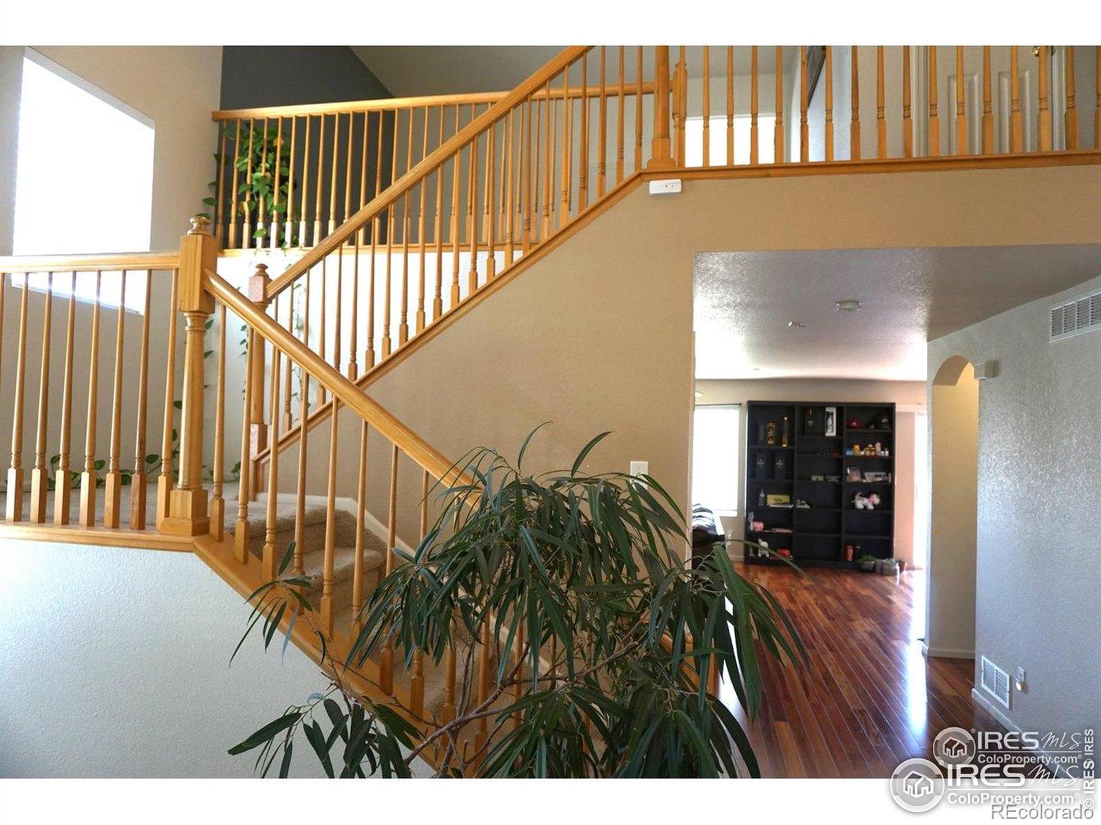 12609 Jersey Circle W