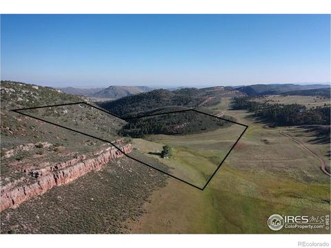 1364 Red Bluff Road, Livermore, CO 80536 - #: IR976662