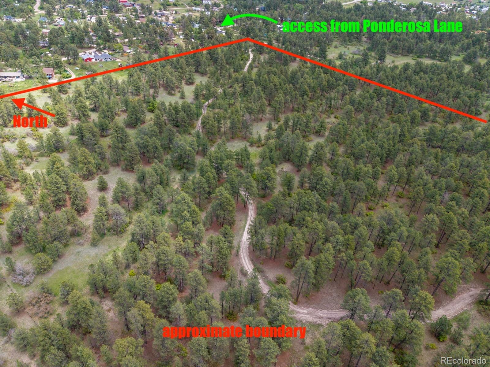 Ponderosa Lane